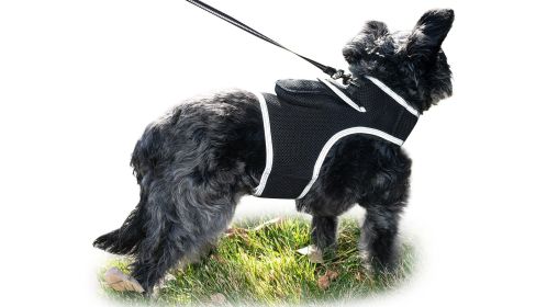 Get Realtime Pet Locations w/ Pet Tracker Mini Cat Dog GPS Tracking Collar Size:XXL