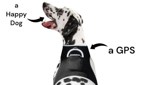 Get Realtime Location Update w/ Pet Tracker GPS Tracking Collars for Dogs Size:XXL