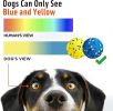3.9'' Dog Balls Tennis Ball for Aggressive Chewers, Atom Teething Balls Dog Chew Toys for Large Medium Small Dogs and Puppies, 3 Pack