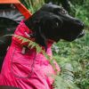 Dog Coats Small Waterproof,Warm Outfit Clothes Dog Jackets Small,Adjustable Drawstring Warm And Cozy Dog Sport Vest-pinksize 2XL