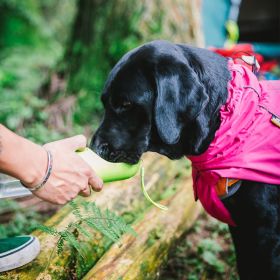 Dog Coats Small Waterproof,Warm Outfit Clothes Dog Jackets Small,Adjustable Drawstring Warm And Cozy Dog Sport Vest-pinksize 2XL