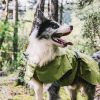 Dog Coats Small Waterproof,Warm Outfit Clothes Dog Jackets Small,Adjustable Drawstring Warm And Cozy Dog Sport Vest-(Green size XL)