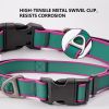 Waterproof Stain-Resistant Dog Collar, Green & Pink Color Block Pet Neck Strap, Adjustable Quick-Release Buckle, Comfortable No Choking, Traction Col