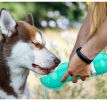 Portable 4-in-1 Pet Water Bottle With Food Storage, Poop Bag Dispenser, and Spoon. 300ml Capacity. Available In Yellow, Pink, Green, and Other Colors