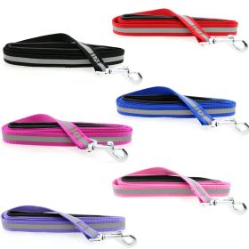 Reflective Nylon Leash with Soft Grip Handle (Color: 3/4 in. Wide x 5 ft. Long, size: Raspberry Pink)